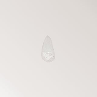 Dr. Few Skincare exfoliating gentle cleanser foaming texture